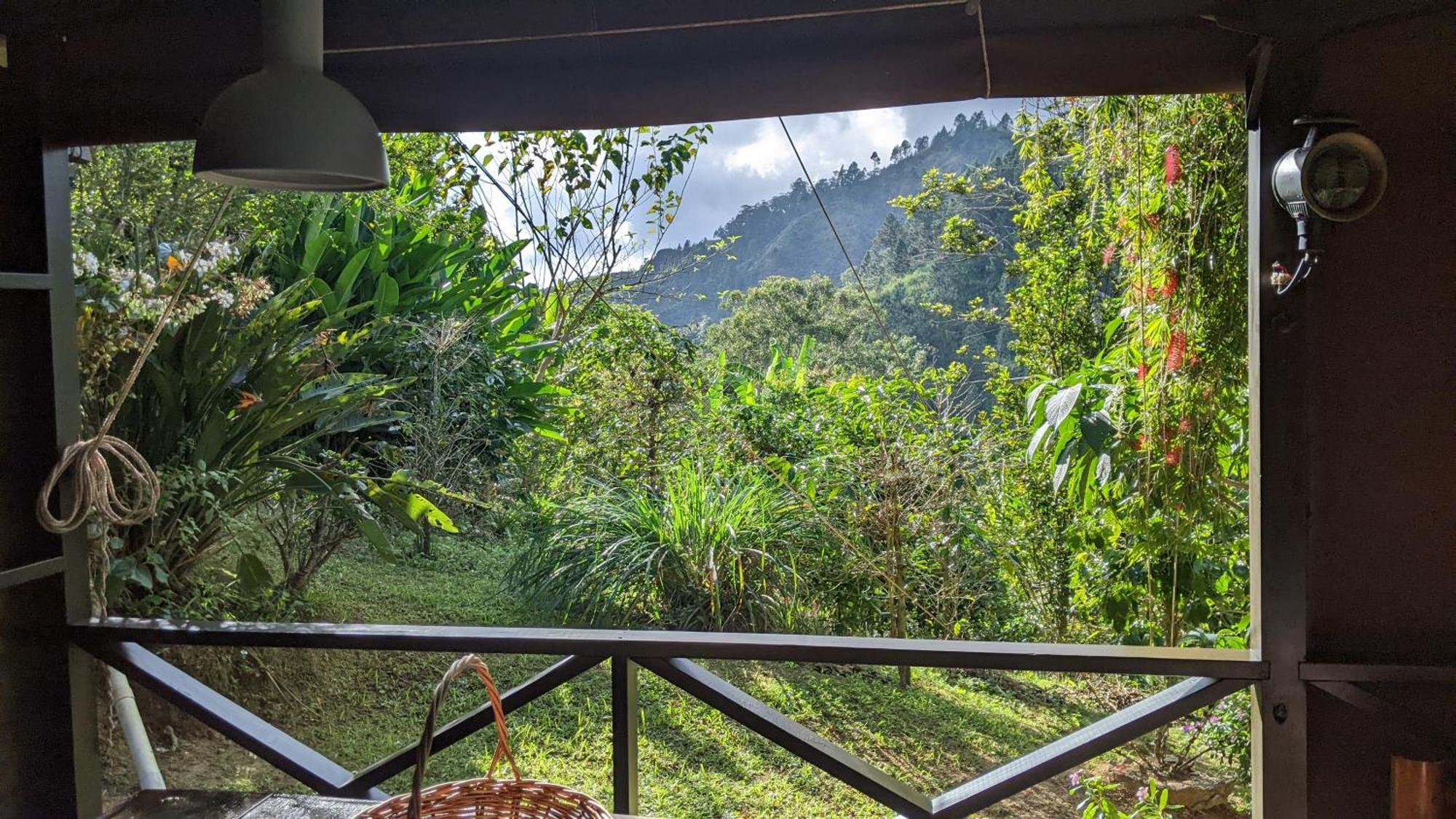 Вилла Lime Tree Farm, Blue Mountains Mavis Bank Экстерьер фото