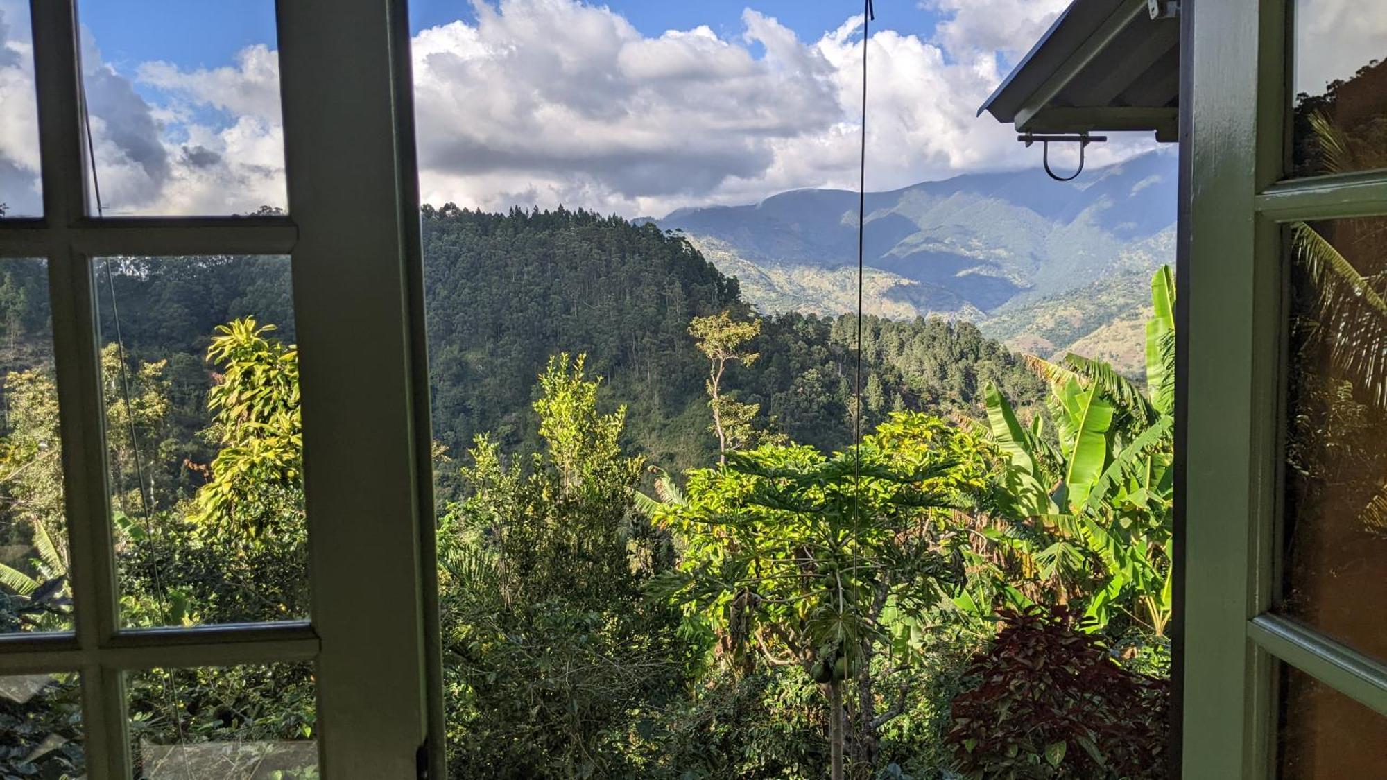 Вилла Lime Tree Farm, Blue Mountains Mavis Bank Экстерьер фото