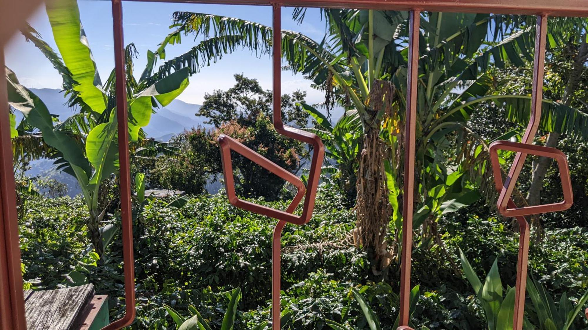 Вилла Lime Tree Farm, Blue Mountains Mavis Bank Экстерьер фото