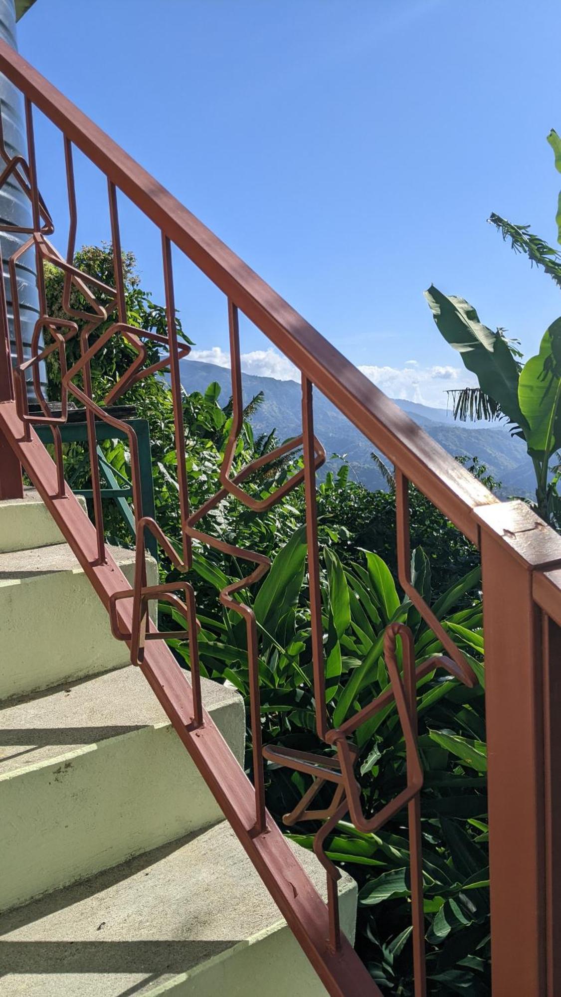 Вилла Lime Tree Farm, Blue Mountains Mavis Bank Экстерьер фото