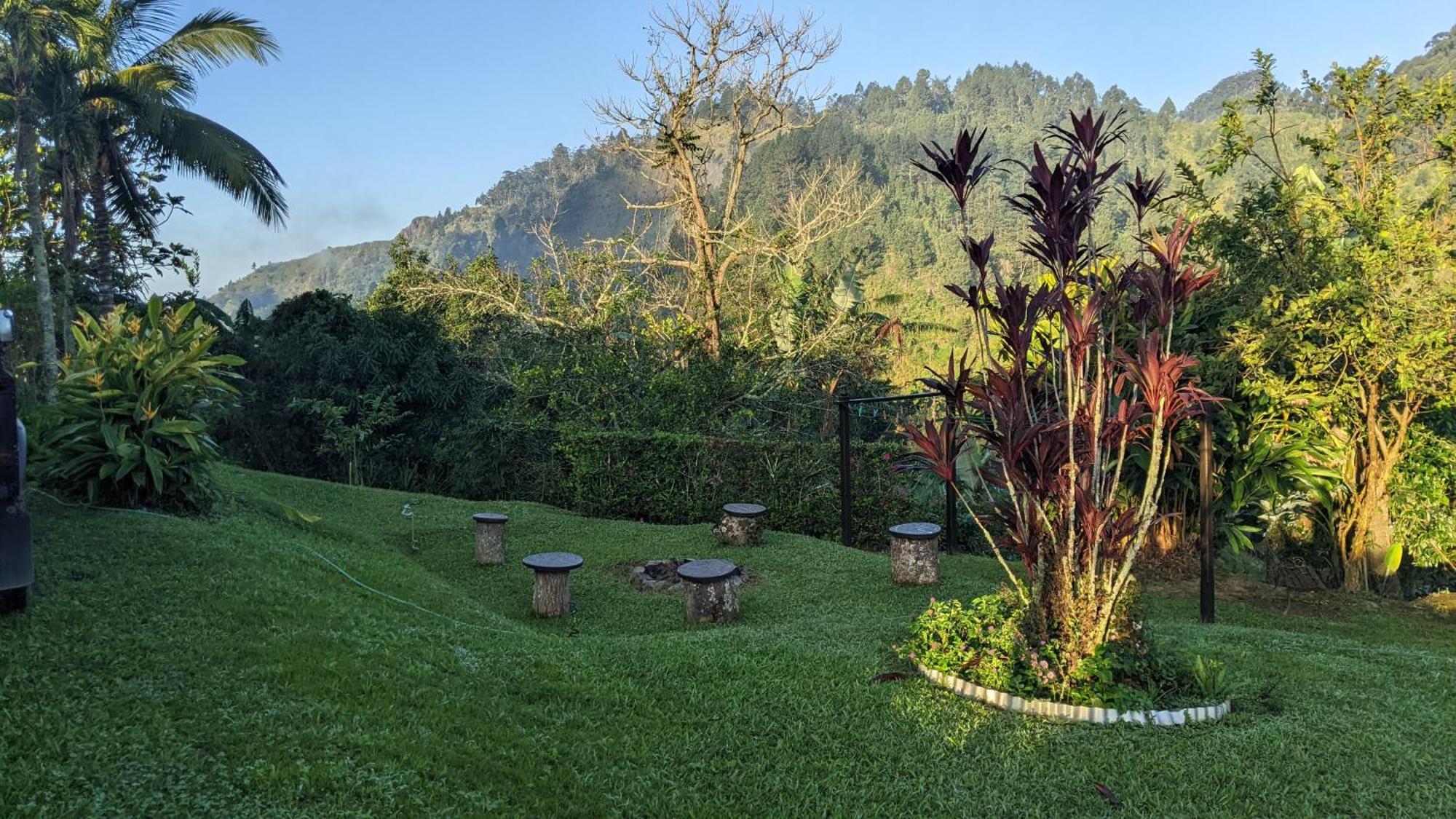 Вилла Lime Tree Farm, Blue Mountains Mavis Bank Экстерьер фото
