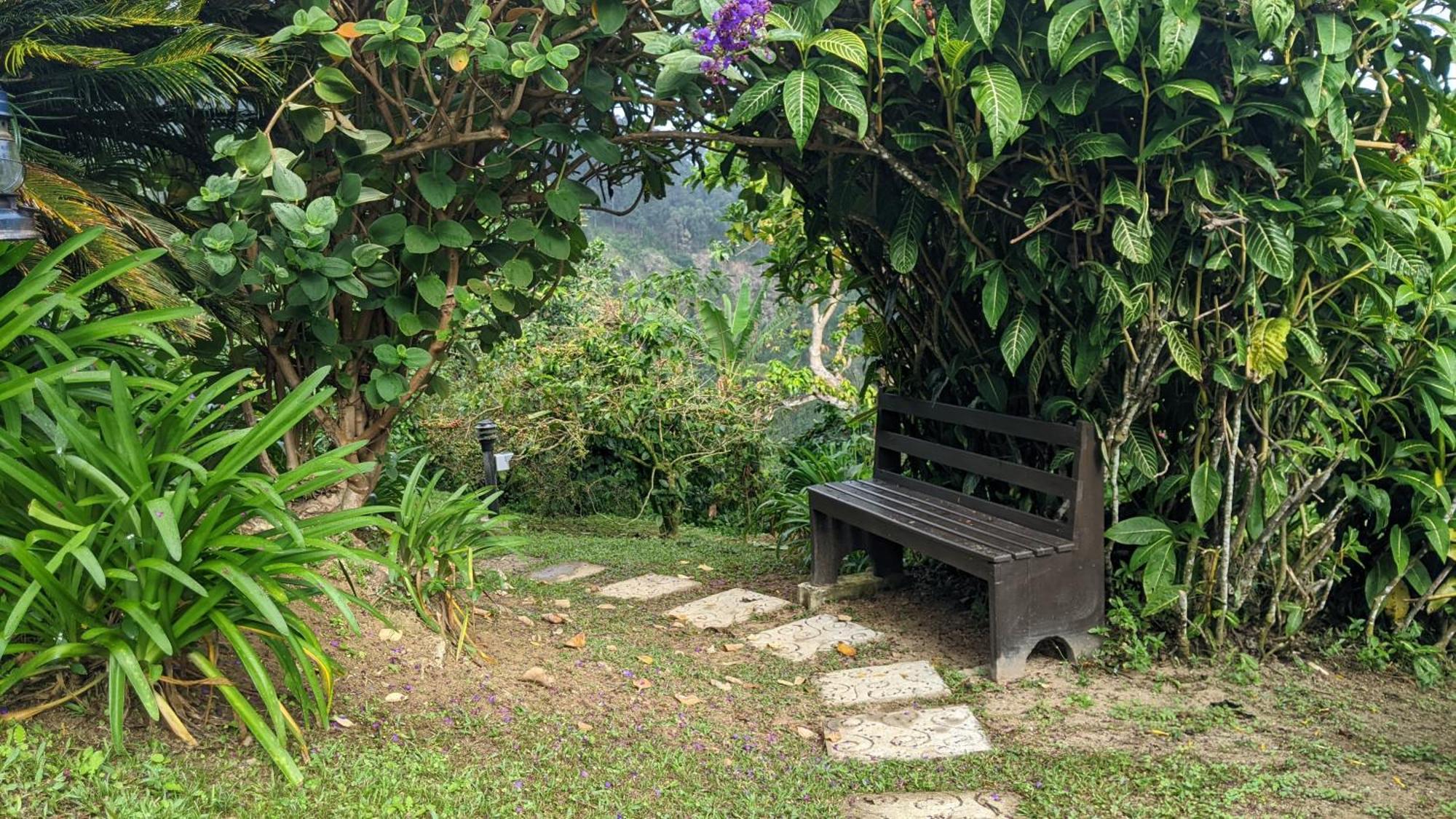 Вилла Lime Tree Farm, Blue Mountains Mavis Bank Экстерьер фото